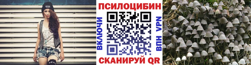 Купить где  Менделеевск  Галлюциногенные грибы прущие грибы 